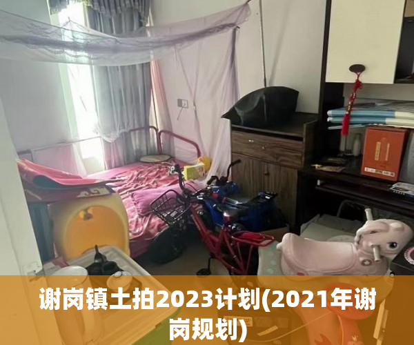谢岗镇土拍2023计划(2021年谢岗规划) 谢岗镇土拍2023计划(2021年谢岗规划)