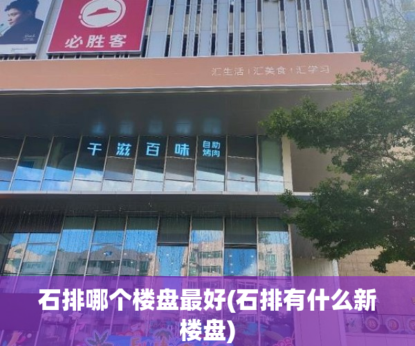 石排哪个楼盘最好(石排有什么新楼盘) 石排哪个楼盘最好(石排有什么新楼盘)