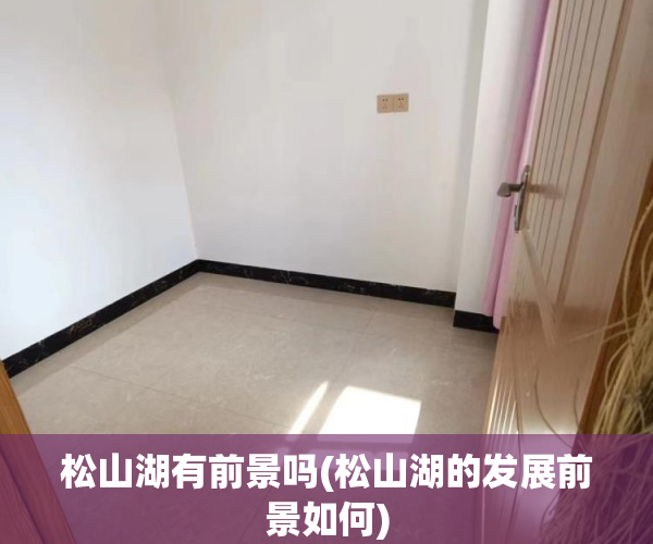 松山湖有前景吗(松山湖的发展前景如何)