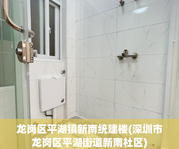 龙岗区平湖镇新南统建楼(深圳市龙岗区平湖街道新南社区)