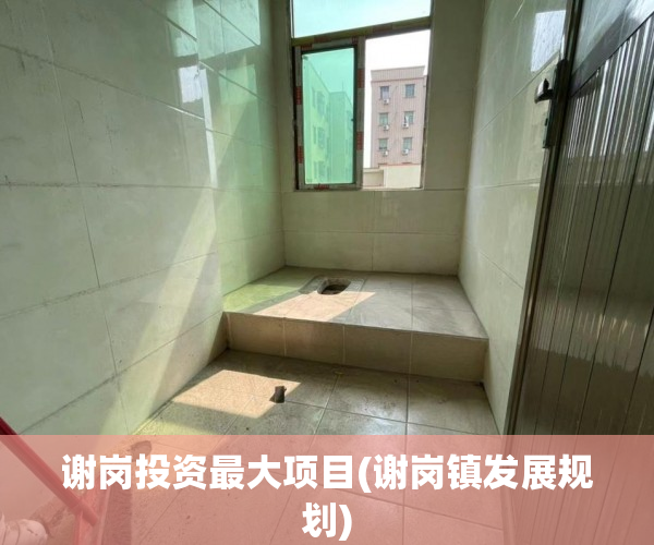 谢岗投资最大项目(谢岗镇发展规划) 谢岗投资最大项目(谢岗镇发展规划)
