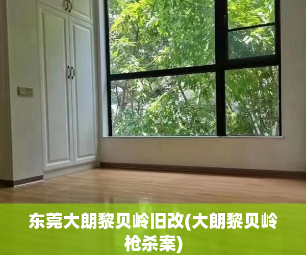 东莞大朗黎贝岭旧改(大朗黎贝岭枪杀案) 东莞大朗黎贝岭旧改(大朗黎贝岭枪杀案)
