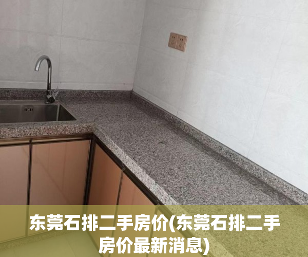 东莞石排二手房价(东莞石排二手房价最新消息) 东莞石排二手房价(东莞石排二手房价最新消息)