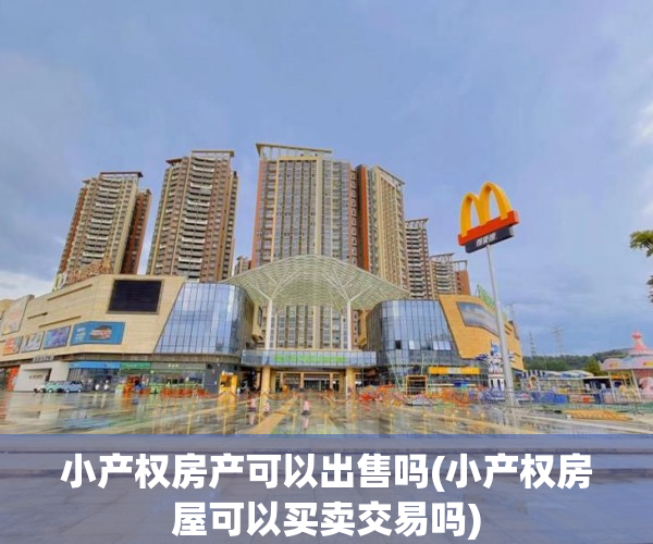 小产权房产可以出售吗(小产权房屋可以买卖交易吗) 小产权房产可以出售吗(小产权房屋可以买卖交易吗)