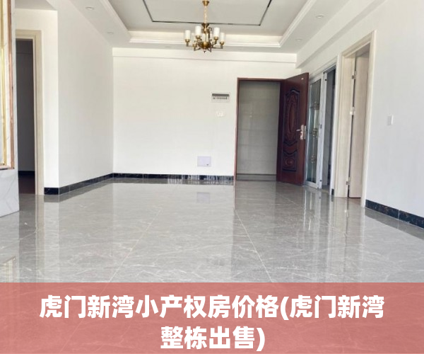 虎门新湾小产权房价格(虎门新湾整栋出售)