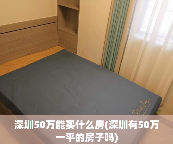 深圳50万能买什么房(深圳有50万一平的房子吗) 深圳50万能买什么房(深圳有50万一平的房子吗)