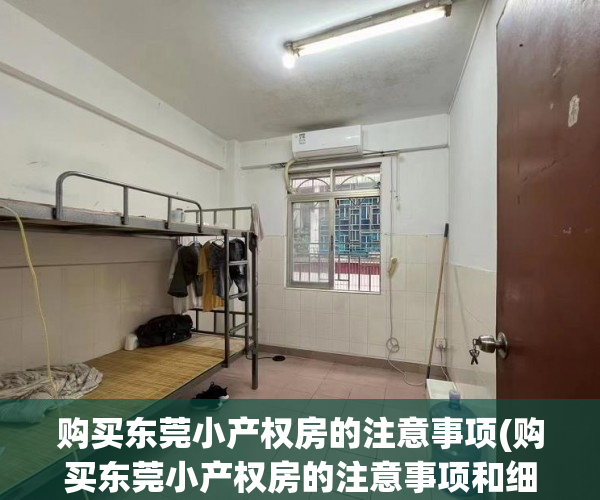 购买东莞小产权房的注意事项(购买东莞小产权房的注意事项和细节)