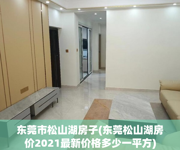东莞市松山湖房子(东莞松山湖房价2021最新价格多少一平方) 东莞市松山湖房子(东莞松山湖房价2021最新价格多少一平方)
