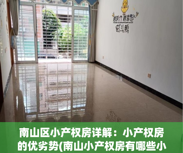 南山区小产权房详解：小产权房的优劣势(南山小产权房有哪些小区)