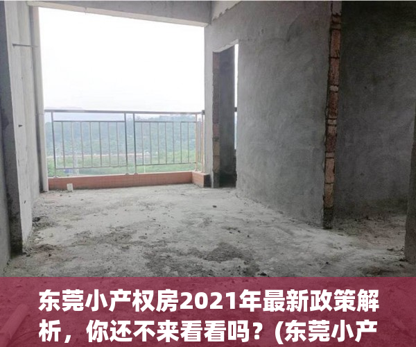 东莞小产权房2021年最新政策解析，你还不来看看吗？(东莞小产权房现在怎么样了)