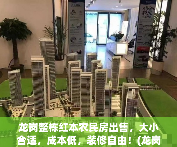 龙岗整栋红本农民房出售，大小合适，成本低，装修自由！(龙岗农民房房价)