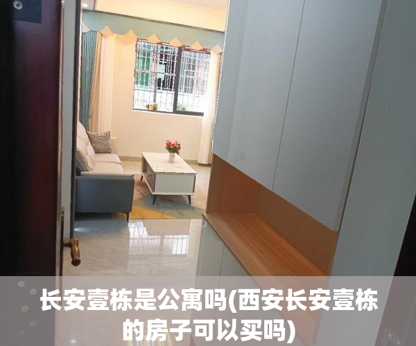 长安壹栋是公寓吗(西安长安壹栋的房子可以买吗)