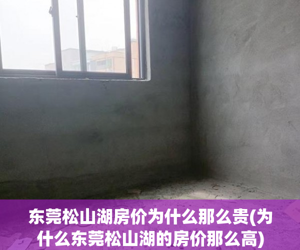 东莞松山湖房价为什么那么贵(为什么东莞松山湖的房价那么高) 东莞松山湖房价为什么那么贵(为什么东莞松山湖的房价那么高)