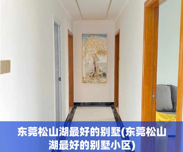 东莞松山湖最好的别墅(东莞松山湖最好的别墅小区)