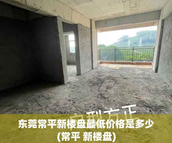 东莞常平新楼盘最低价格是多少(常平 新楼盘)