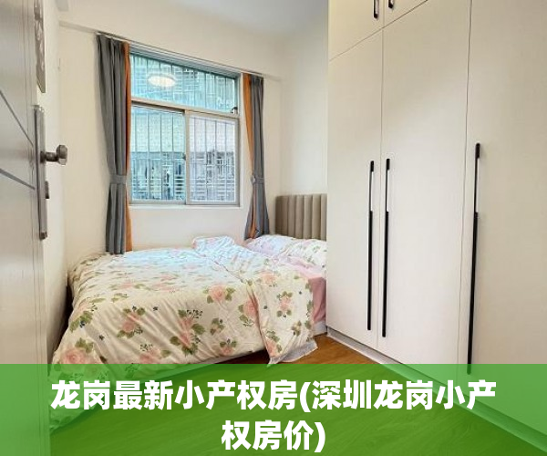 龙岗最新小产权房(深圳龙岗小产权房价)