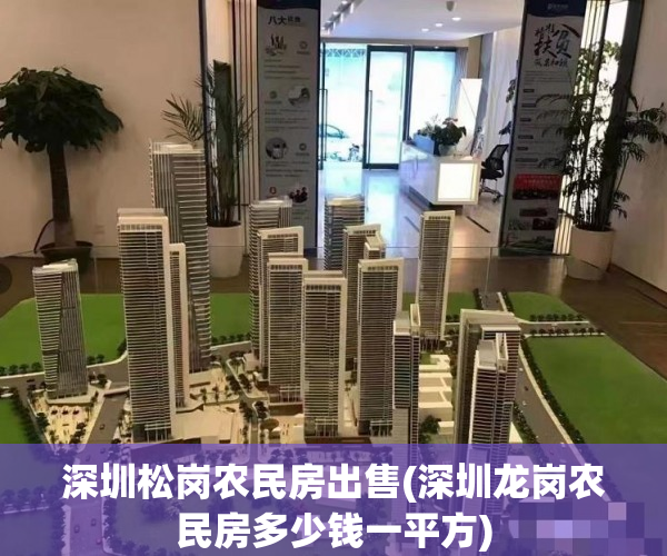深圳松岗农民房出售(深圳龙岗农民房多少钱一平方) 深圳松岗农民房出售(深圳龙岗农民房多少钱一平方)
