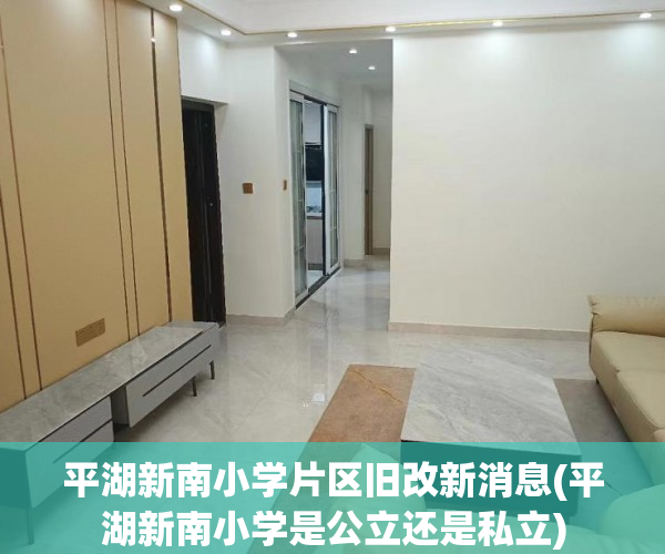 平湖新南小学片区旧改新消息(平湖新南小学是公立还是私立)