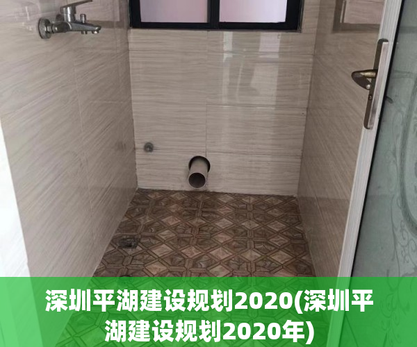 深圳平湖建设规划2020(深圳平湖建设规划2020年) 深圳平湖建设规划2020(深圳平湖建设规划2020年)