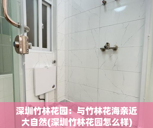 深圳竹林花园：与竹林花海亲近大自然(深圳竹林花园怎么样)