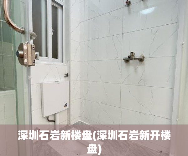深圳石岩新楼盘(深圳石岩新开楼盘) 深圳石岩新楼盘(深圳石岩新开楼盘)