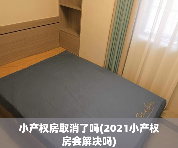 小产权房取消了吗(2021小产权房会解决吗)