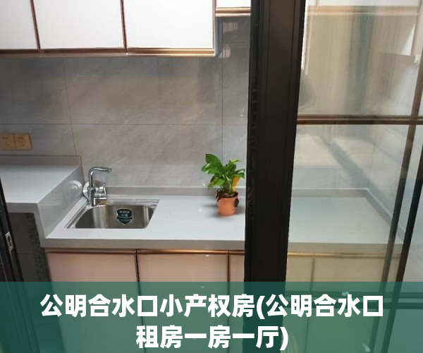 公明合水口小产权房(公明合水口租房一房一厅)
