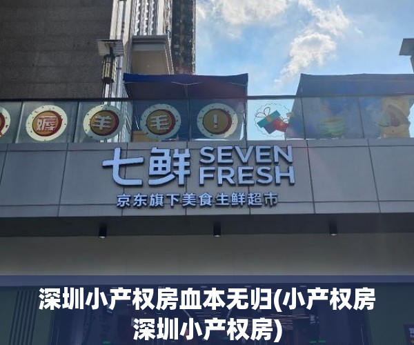 深圳小产权房血本无归(小产权房深圳小产权房) 深圳小产权房血本无归(小产权房深圳小产权房)