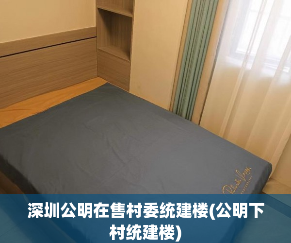 深圳公明在售村委统建楼(公明下村统建楼)