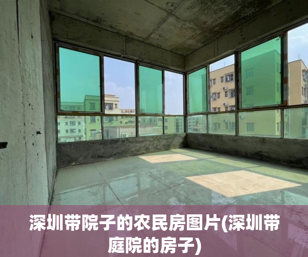 深圳带院子的农民房图片(深圳带庭院的房子)