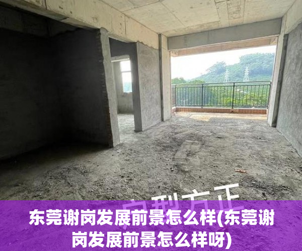 东莞谢岗发展前景怎么样(东莞谢岗发展前景怎么样呀) 东莞谢岗发展前景怎么样(东莞谢岗发展前景怎么样呀)