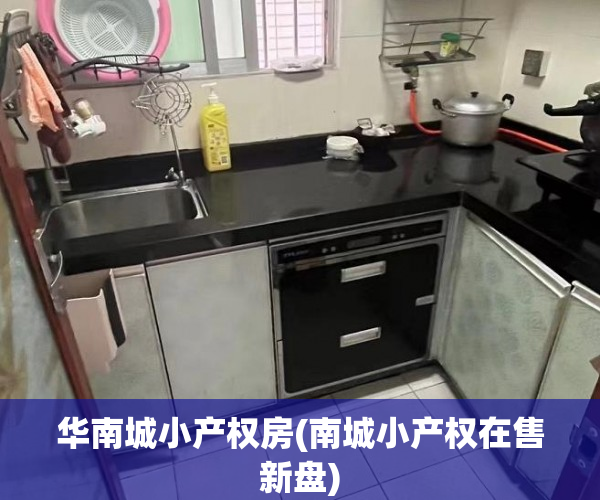 华南城小产权房(南城小产权在售新盘) 华南城小产权房(南城小产权在售新盘)