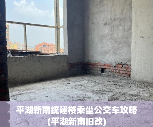 平湖新南统建楼乘坐公交车攻略(平湖新南旧改)