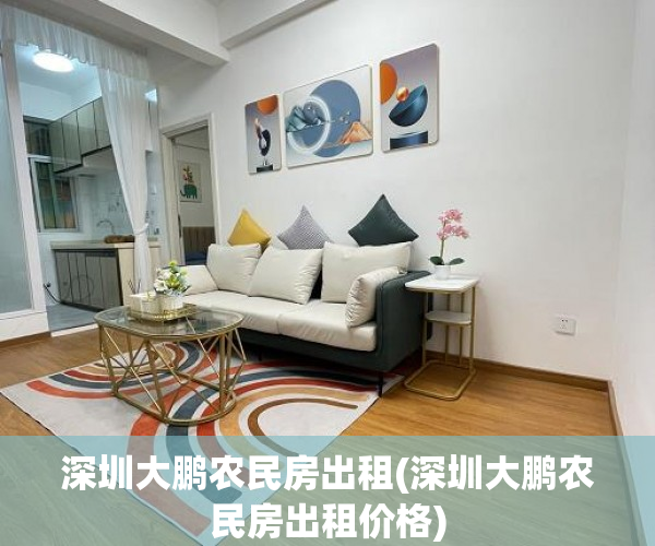深圳大鹏农民房出租(深圳大鹏农民房出租价格)