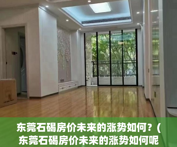 东莞石碣房价未来的涨势如何？(东莞石碣房价未来的涨势如何呢)