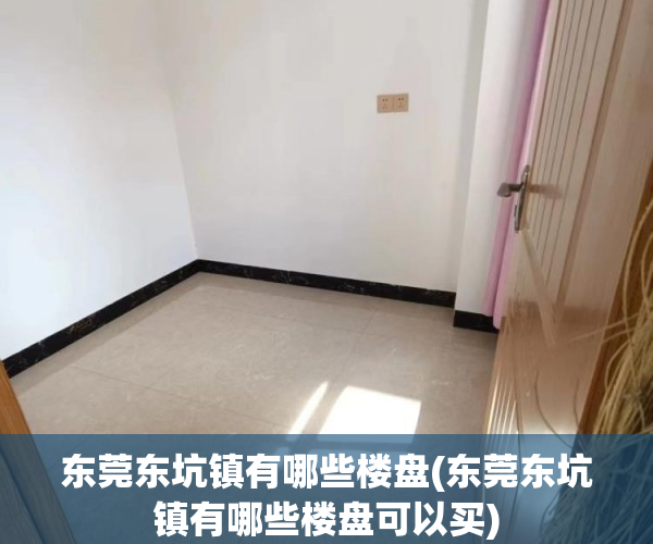 东莞东坑镇有哪些楼盘(东莞东坑镇有哪些楼盘可以买) 东莞东坑镇有哪些楼盘(东莞东坑镇有哪些楼盘可以买)