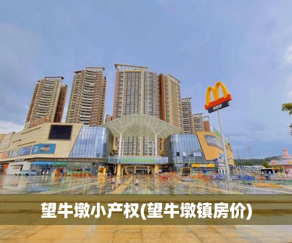 望牛墩小产权(望牛墩镇房价) 望牛墩小产权(望牛墩镇房价)