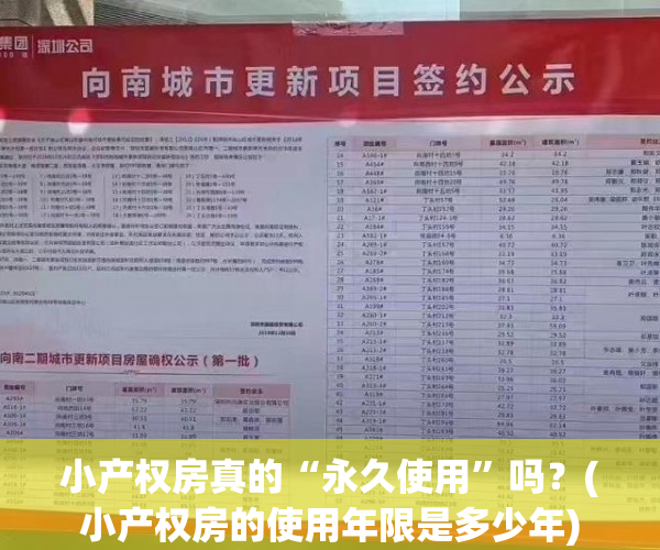 小产权房真的“永久使用”吗？(小产权房的使用年限是多少年)