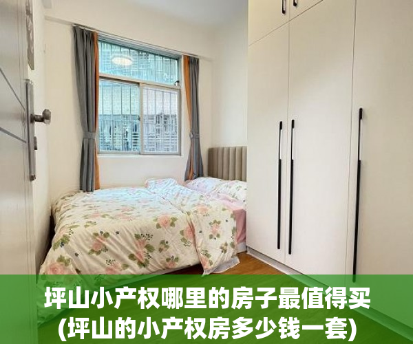 坪山小产权哪里的房子最值得买(坪山的小产权房多少钱一套) 坪山小产权哪里的房子最值得买(坪山的小产权房多少钱一套)