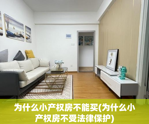 为什么小产权房不能买(为什么小产权房不受法律保护) 为什么小产权房不能买(为什么小产权房不受法律保护)