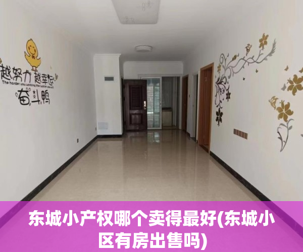 东城小产权哪个卖得最好(东城小区有房出售吗) 东城小产权哪个卖得最好(东城小区有房出售吗)