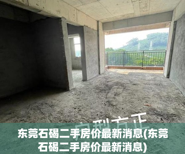 东莞石碣二手房价最新消息(东莞石碣二手房价最新消息) 东莞石碣二手房价最新消息(东莞石碣二手房价最新消息)
