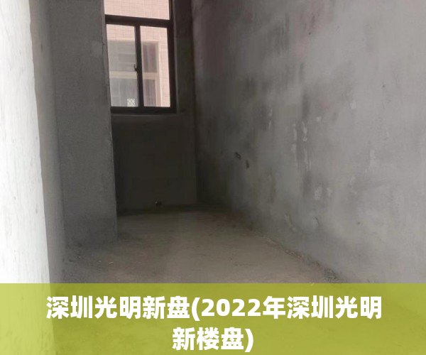 深圳光明新盘(2022年深圳光明新楼盘)