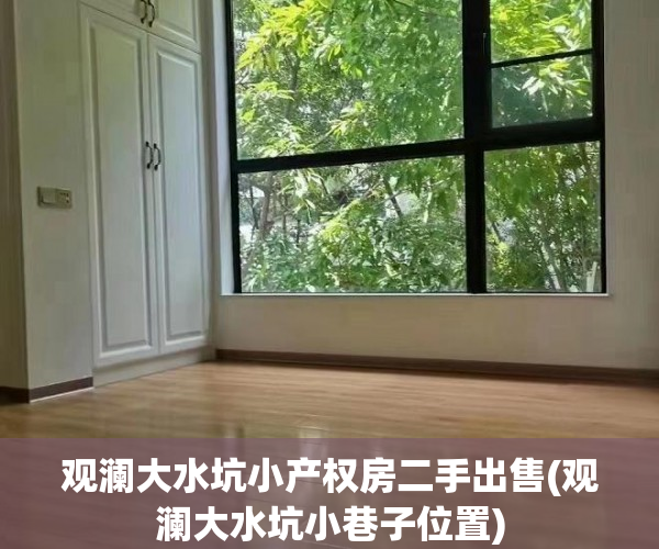 观澜大水坑小产权房二手出售(观澜大水坑小巷子位置)