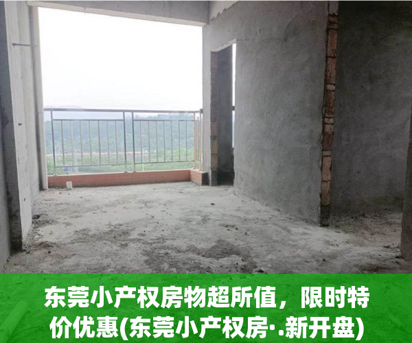 东莞小产权房物超所值，限时特价优惠(东莞小产权房·.新开盘)