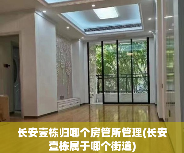 长安壹栋归哪个房管所管理(长安壹栋属于哪个街道)