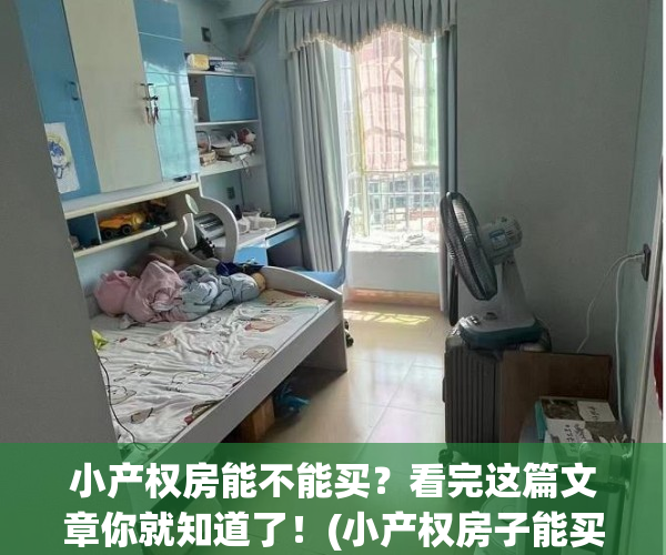 小产权房能不能买？看完这篇文章你就知道了！(小产权房子能买吗受法律保护吗)