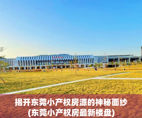 揭开东莞小产权房源的神秘面纱(东莞小产权房最新楼盘)