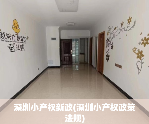 深圳小产权新政(深圳小产权政策法规)