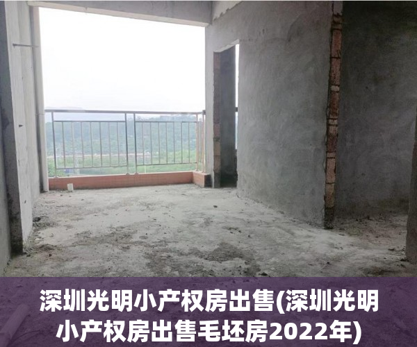 深圳光明小产权房出售(深圳光明小产权房出售毛坯房2022年) 深圳光明小产权房出售(深圳光明小产权房出售毛坯房2022年)